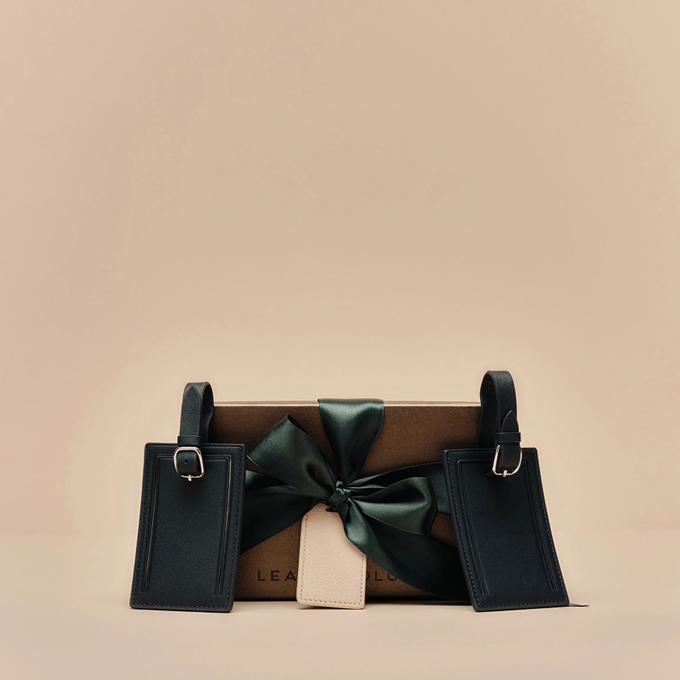 Luggage Tag Duo Gift Set Black Onyx